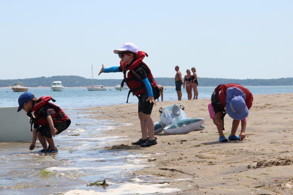 Stage Jardin des mers pour les marins en herbes au CNCO de St Trojan les bains