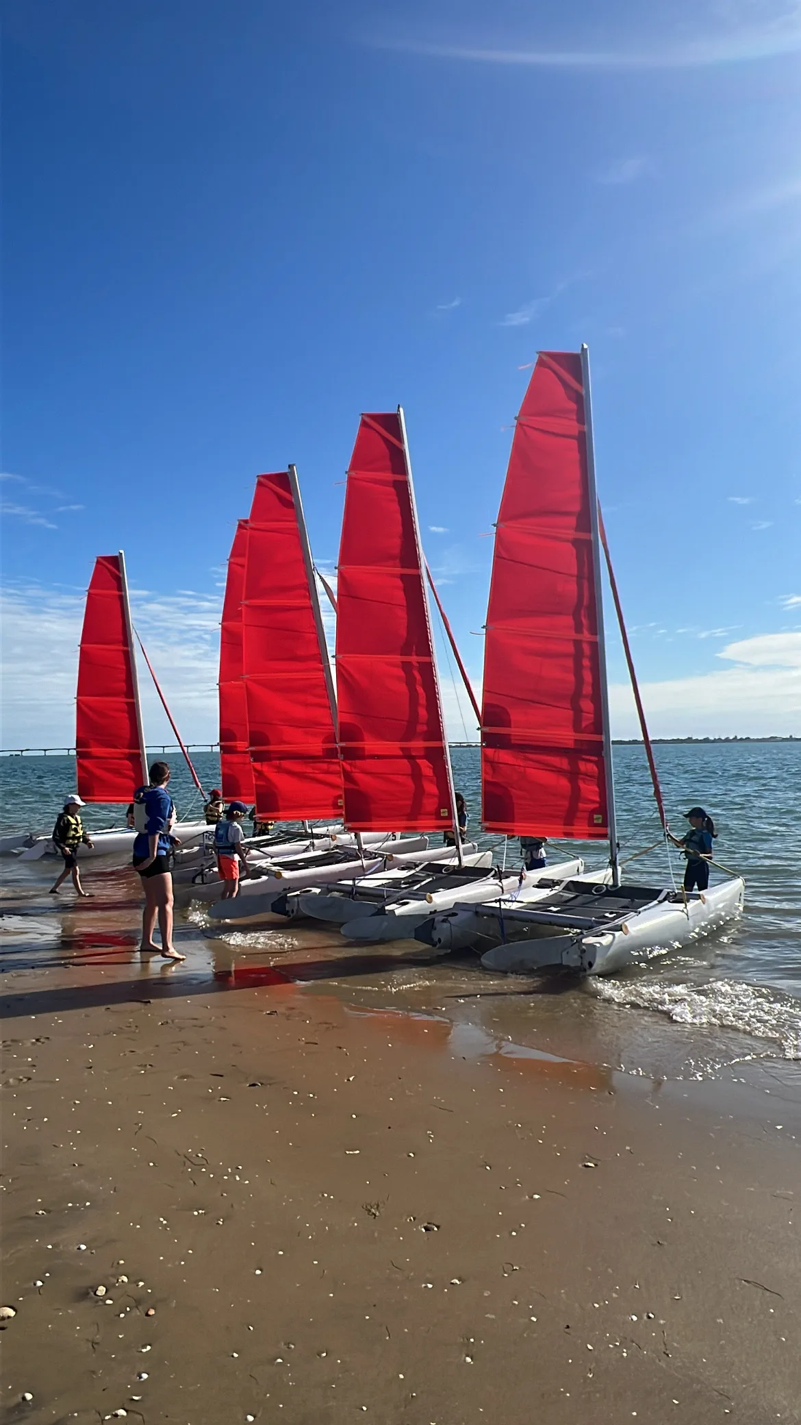 image illustrant le support Catamaran New Cat 12