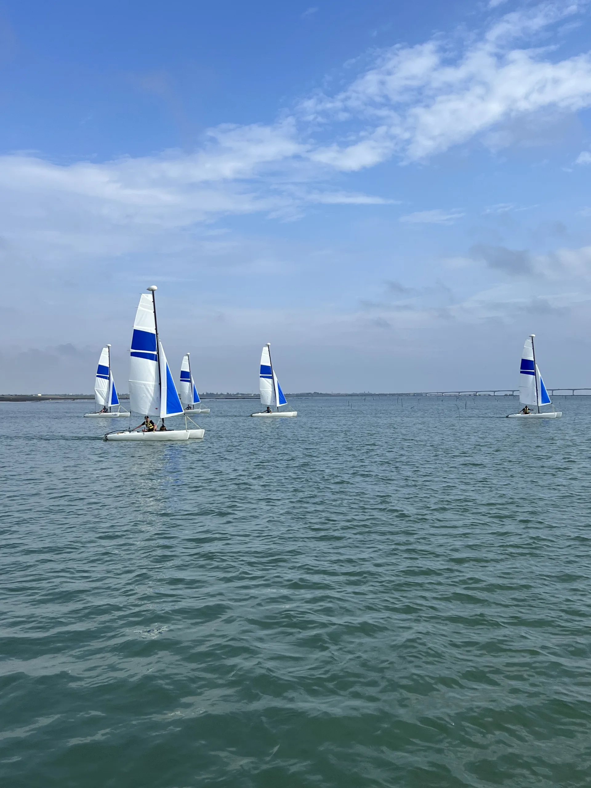 image illustrant le support Catamaran New Cat F1